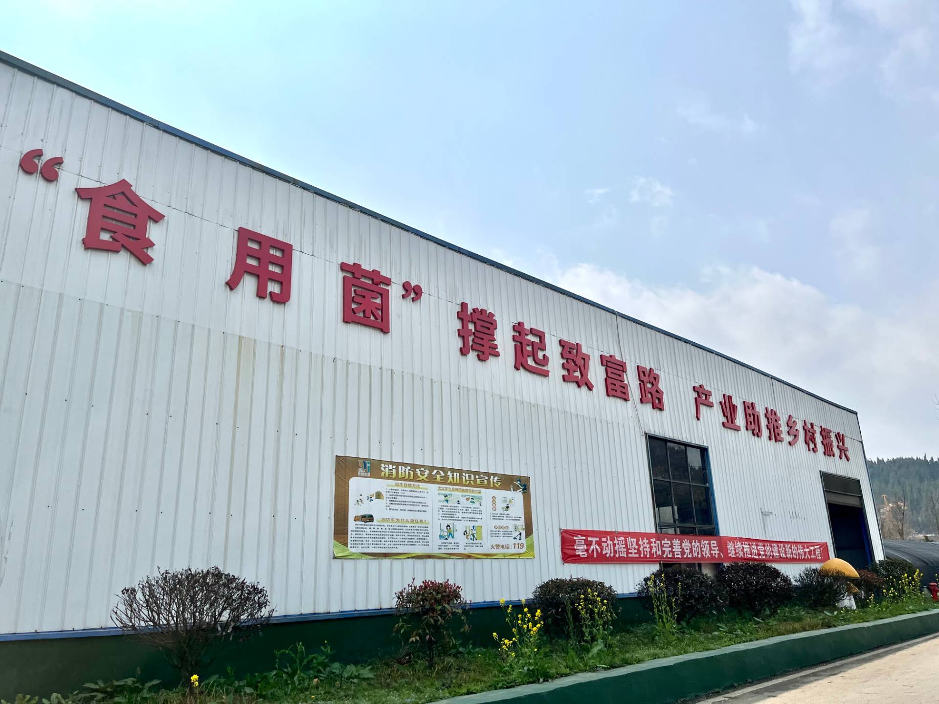 聚福菌的产业化之路 从黔山到香港的食用菌精深加工蜕变